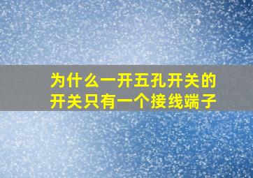 为什么一开五孔开关的开关只有一个接线端子