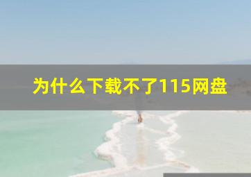 为什么下载不了115网盘