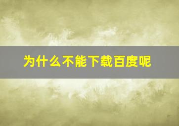 为什么不能下载百度呢