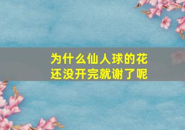 为什么仙人球的花还没开完就谢了呢