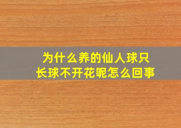 为什么养的仙人球只长球不开花呢怎么回事