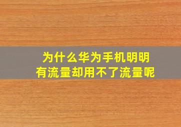 为什么华为手机明明有流量却用不了流量呢