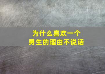 为什么喜欢一个男生的理由不说话