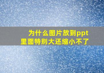 为什么图片放到ppt里面特别大还缩小不了