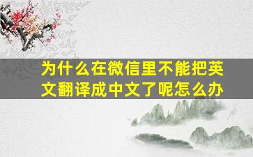 为什么在微信里不能把英文翻译成中文了呢怎么办