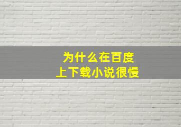 为什么在百度上下载小说很慢