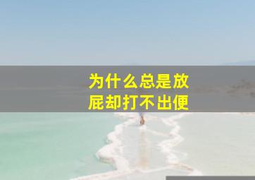 为什么总是放屁却打不出便