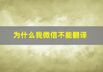 为什么我微信不能翻译