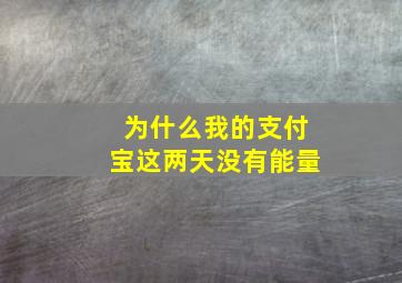 为什么我的支付宝这两天没有能量