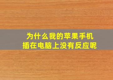 为什么我的苹果手机插在电脑上没有反应呢