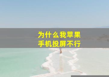 为什么我苹果手机投屏不行