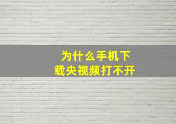 为什么手机下载央视频打不开