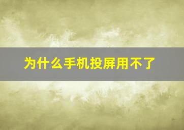 为什么手机投屏用不了