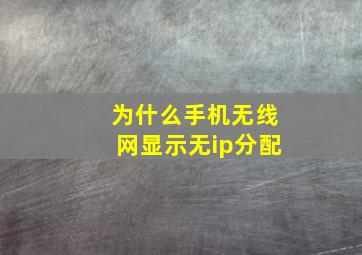 为什么手机无线网显示无ip分配