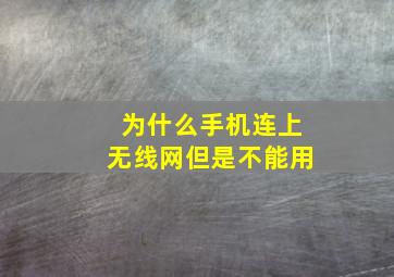 为什么手机连上无线网但是不能用