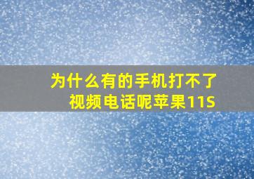 为什么有的手机打不了视频电话呢苹果11S