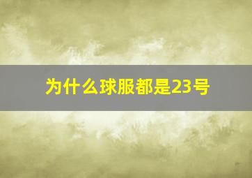 为什么球服都是23号