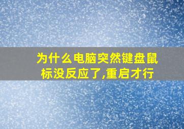 为什么电脑突然键盘鼠标没反应了,重启才行