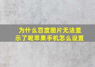 为什么百度图片无法显示了呢苹果手机怎么设置