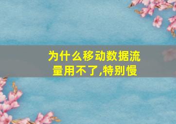 为什么移动数据流量用不了,特别慢