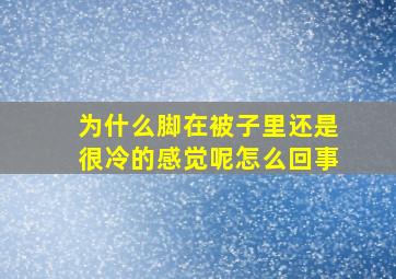 为什么脚在被子里还是很冷的感觉呢怎么回事