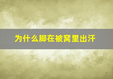 为什么脚在被窝里出汗