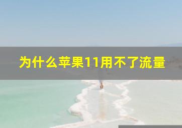 为什么苹果11用不了流量