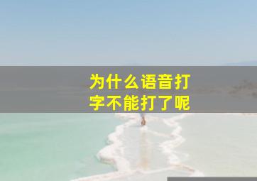 为什么语音打字不能打了呢