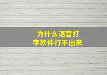 为什么语音打字软件打不出来