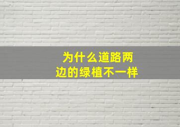 为什么道路两边的绿植不一样