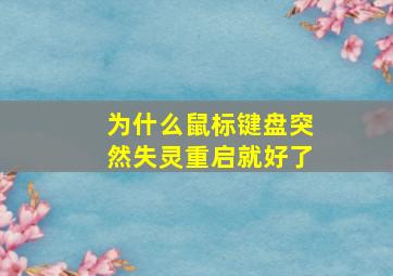 为什么鼠标键盘突然失灵重启就好了