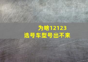 为啥12123选号车型号出不来