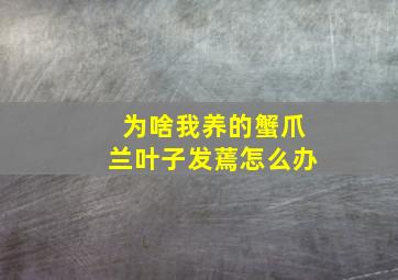 为啥我养的蟹爪兰叶子发蔫怎么办