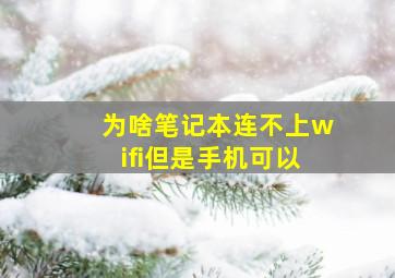 为啥笔记本连不上wifi但是手机可以