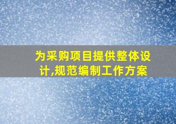 为采购项目提供整体设计,规范编制工作方案