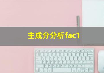 主成分分析fac1