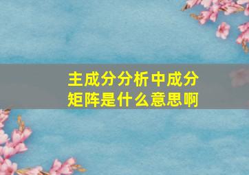 主成分分析中成分矩阵是什么意思啊