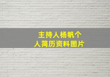 主持人杨帆个人简历资料图片