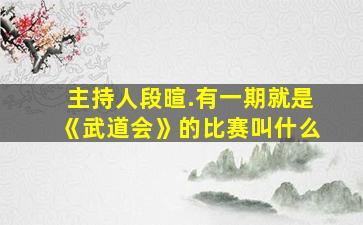 主持人段暄.有一期就是《武道会》的比赛叫什么