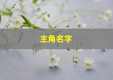 主角名字