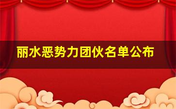 丽水恶势力团伙名单公布