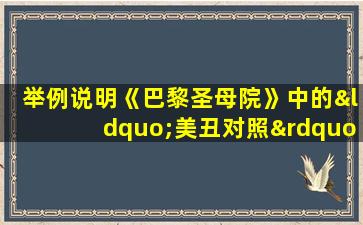 举例说明《巴黎圣母院》中的“美丑对照”