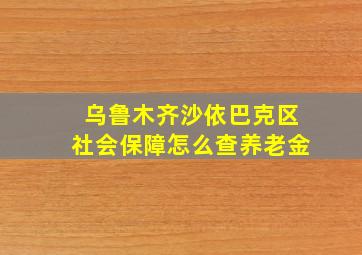 乌鲁木齐沙依巴克区社会保障怎么查养老金