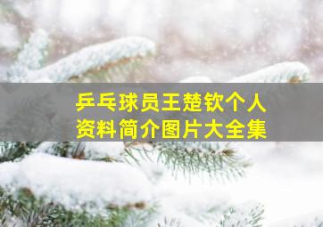 乒乓球员王楚钦个人资料简介图片大全集