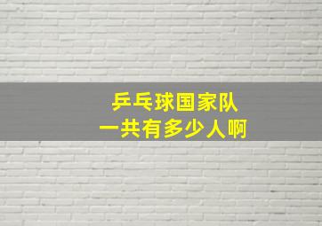 乒乓球国家队一共有多少人啊