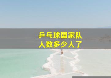 乒乓球国家队人数多少人了