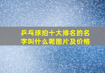 乒乓球拍十大排名的名字叫什么呢图片及价格