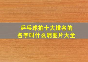 乒乓球拍十大排名的名字叫什么呢图片大全