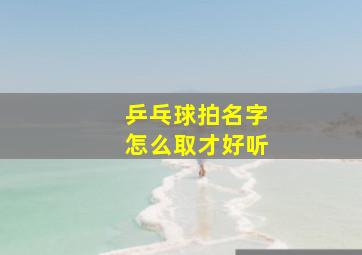 乒乓球拍名字怎么取才好听