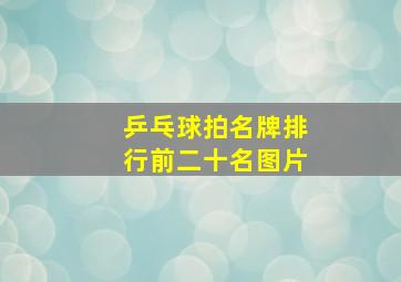 乒乓球拍名牌排行前二十名图片